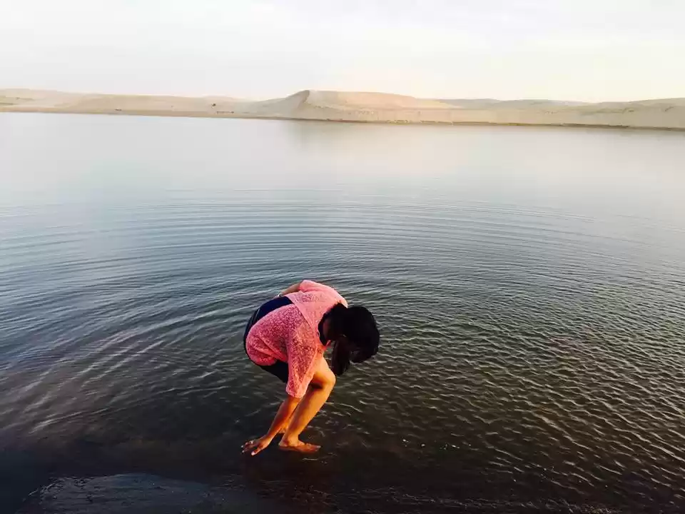 Photo of The African White Sa