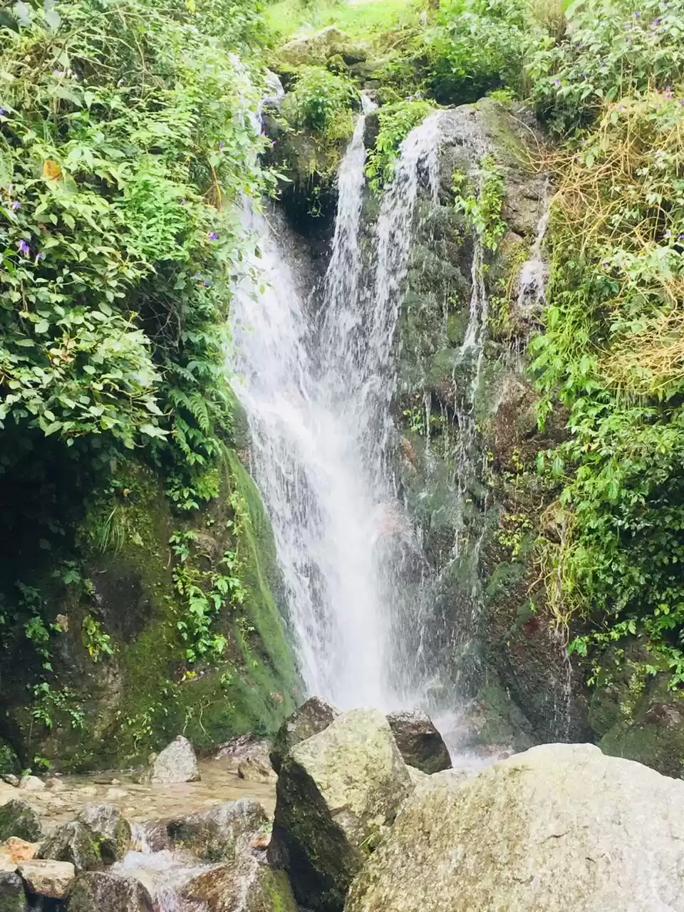 Photo of Astonishing Dalhousi