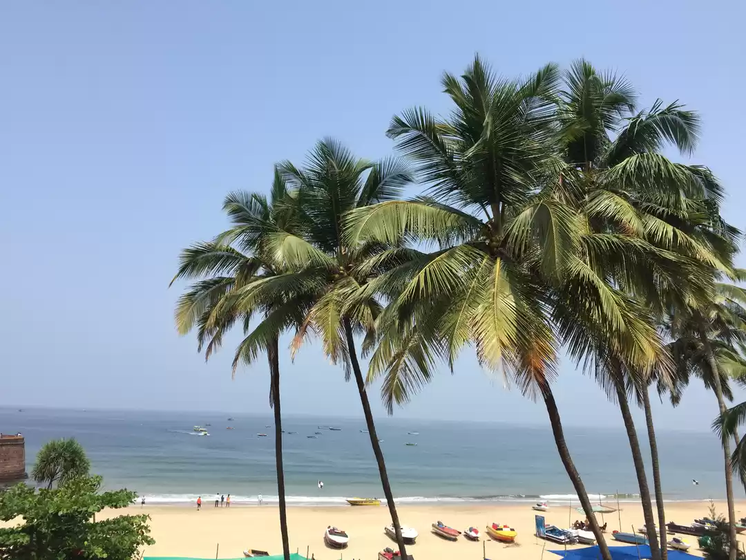 Photo of This is why I will n