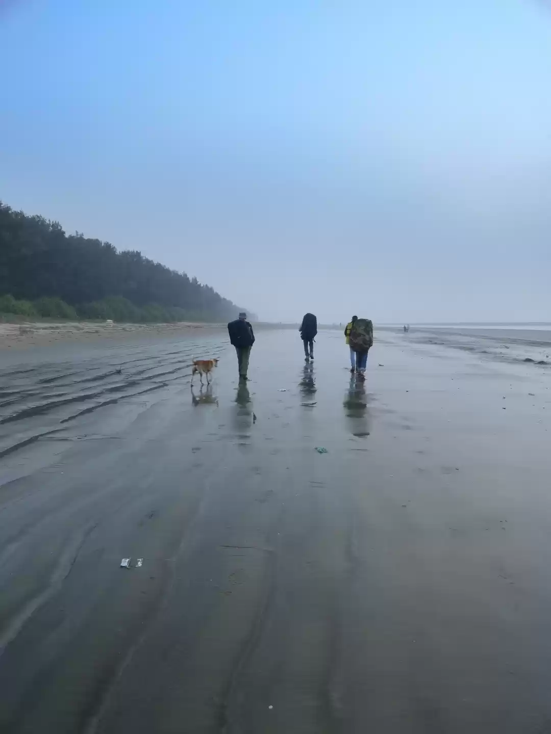 Photo of A Walk To Remember a