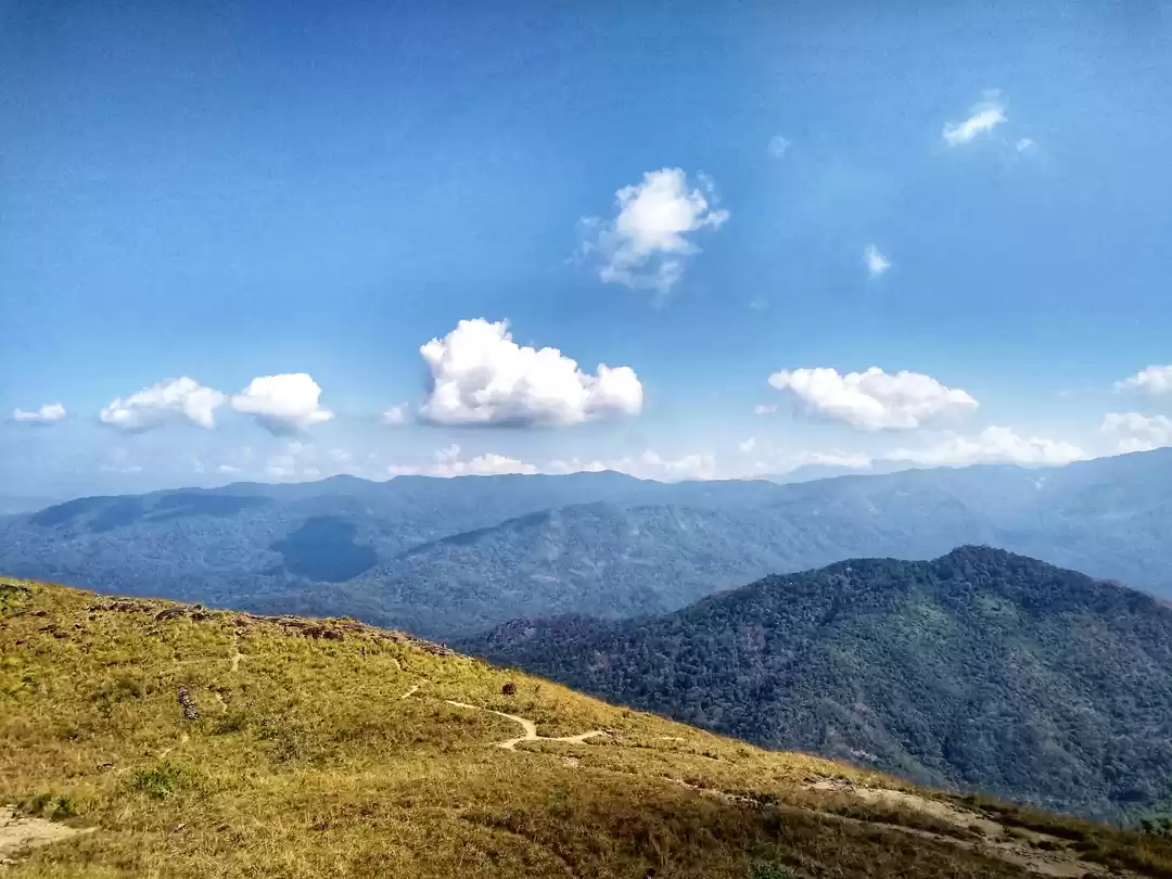 Photo of Ponmudi | The Golden
