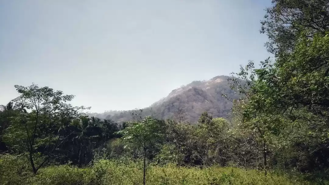 Photo of Dhoni Waterfalls | P