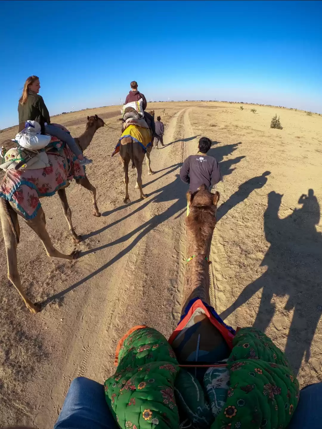 Photo of Camel Safari