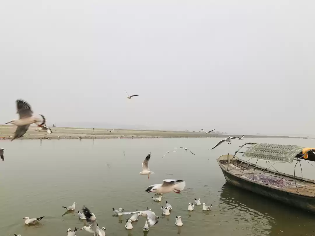 Photo of Prayagraj 