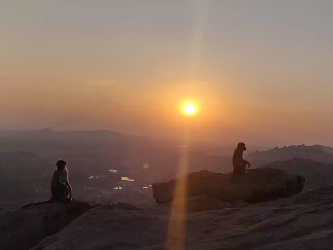 Photo of Beauty in Ruins of H