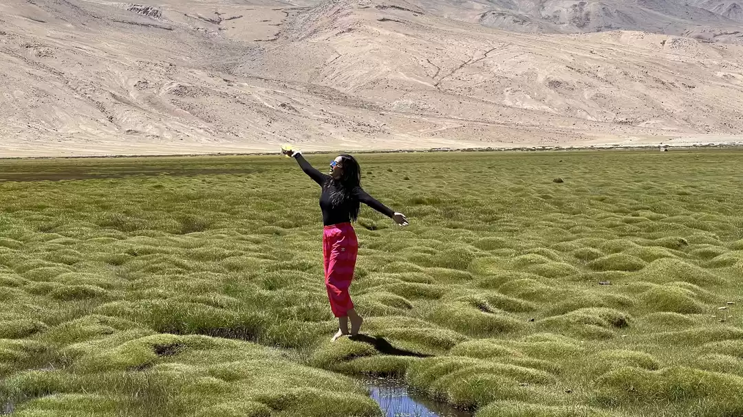 Photo of PUGA, Ladakh.. Insta