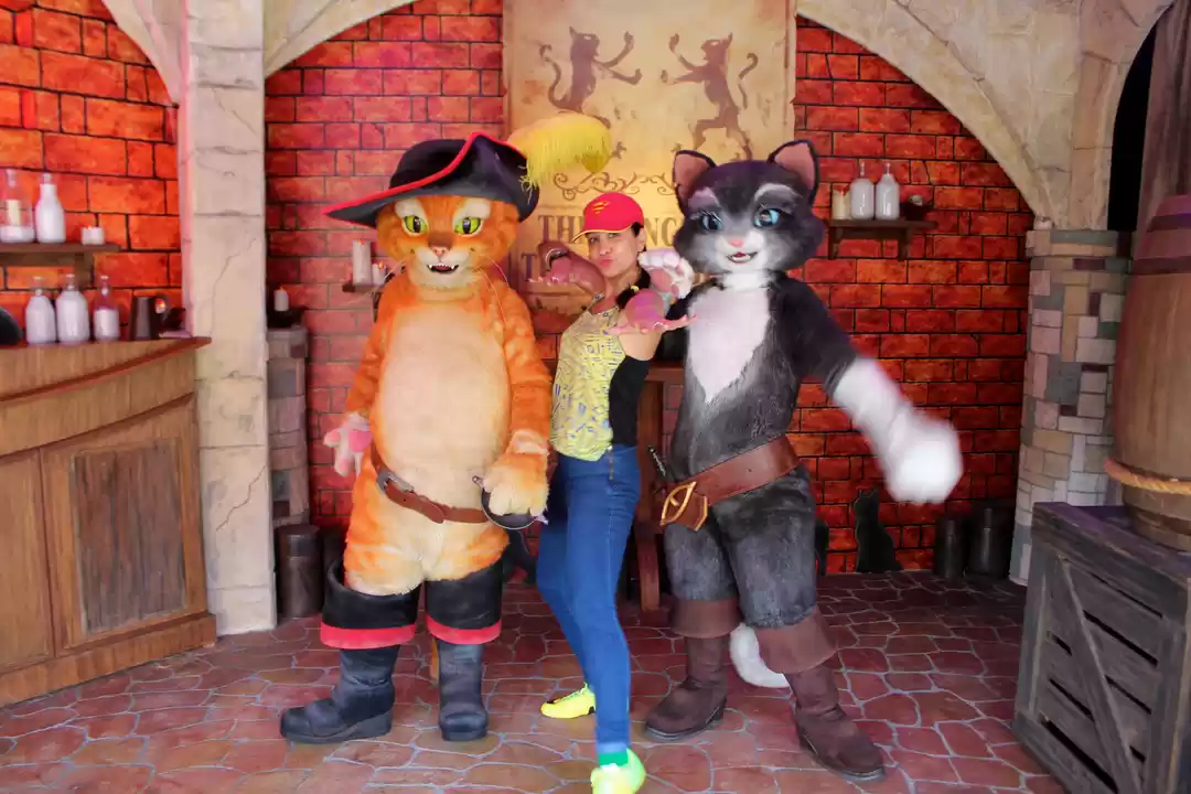 Photo of Don't miss these pla