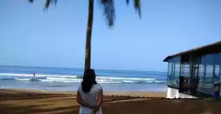 Photo of Goa Diaries - What y