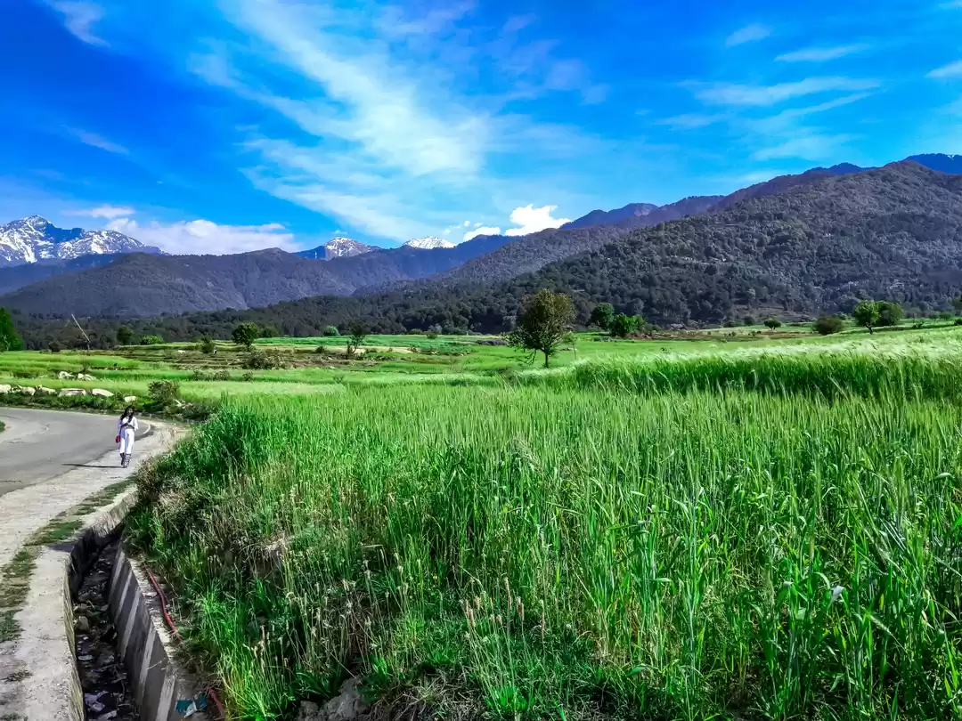 Photo of Bir and the unexplor