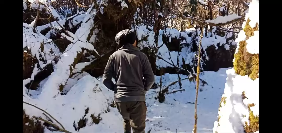 Photo of In search of snow fr