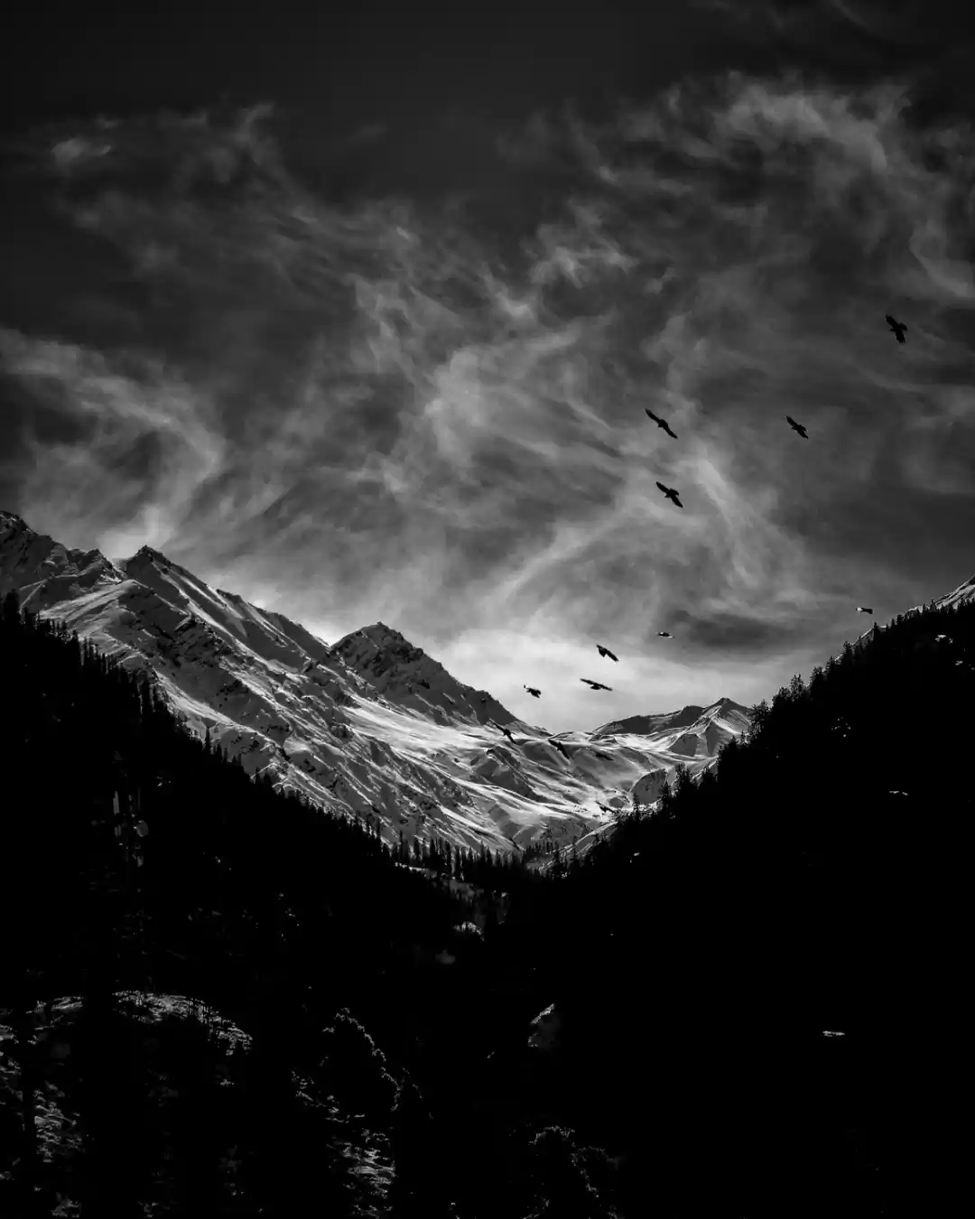 Photo of Sowing winds all ove