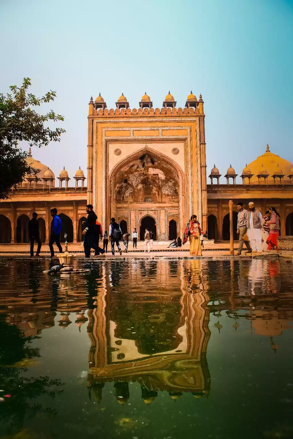 Photo of Deep jump in the mug