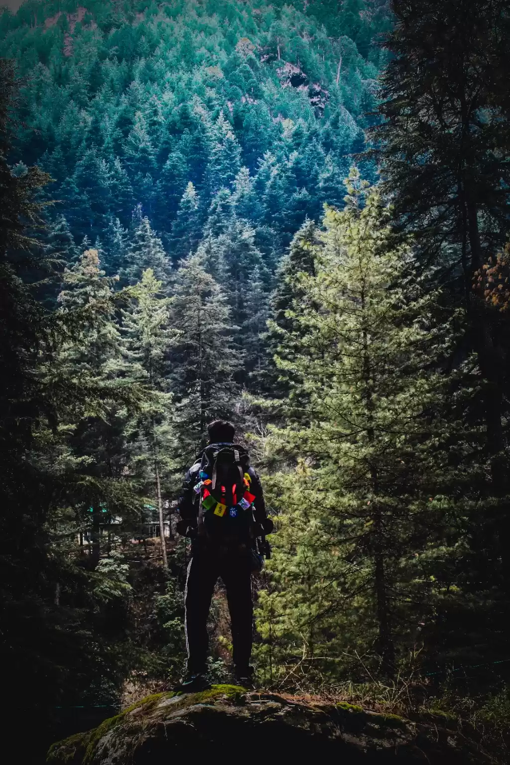 Photo of I am 22 and travelle