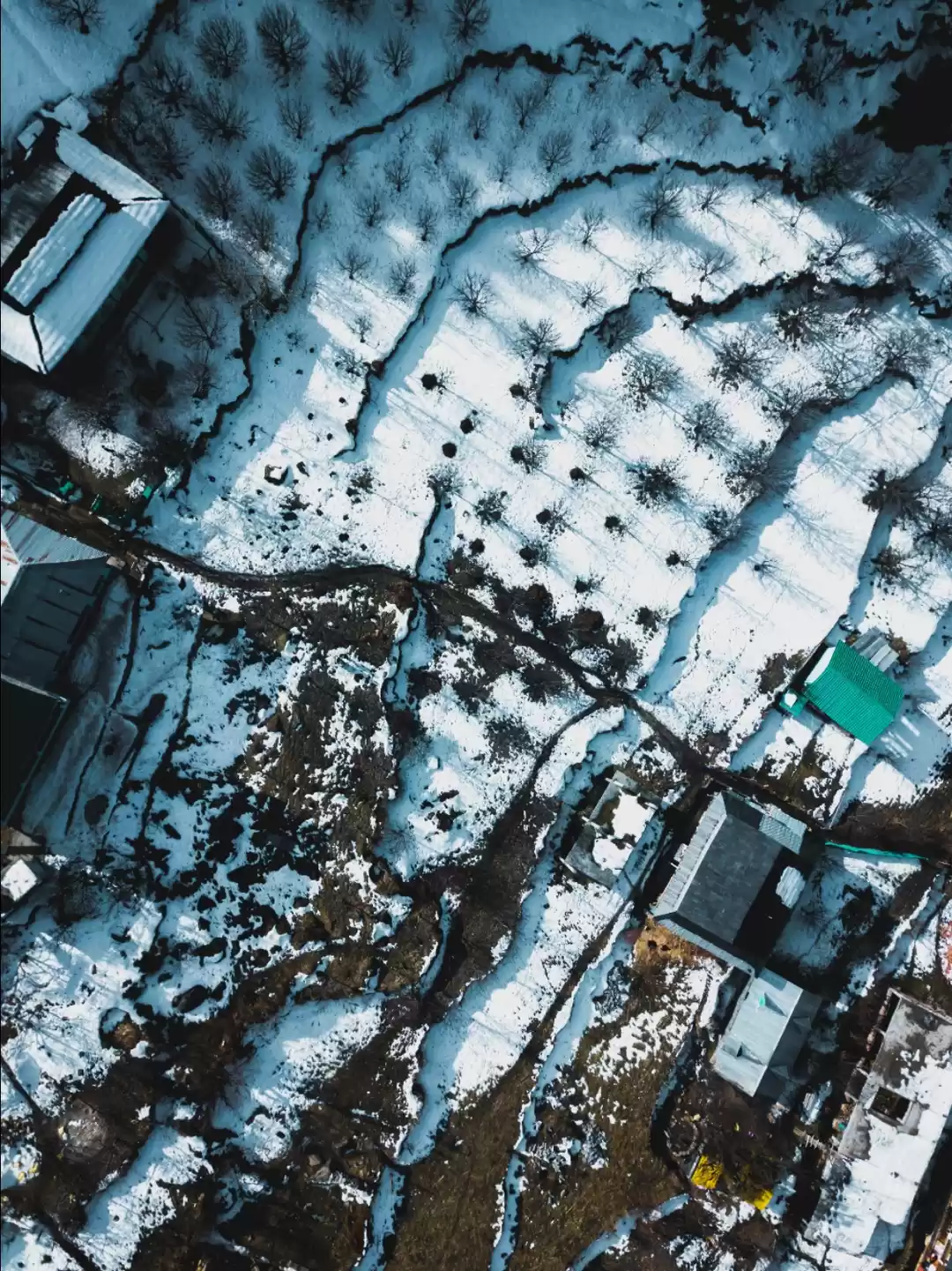 Photo of Winter vibes in beau