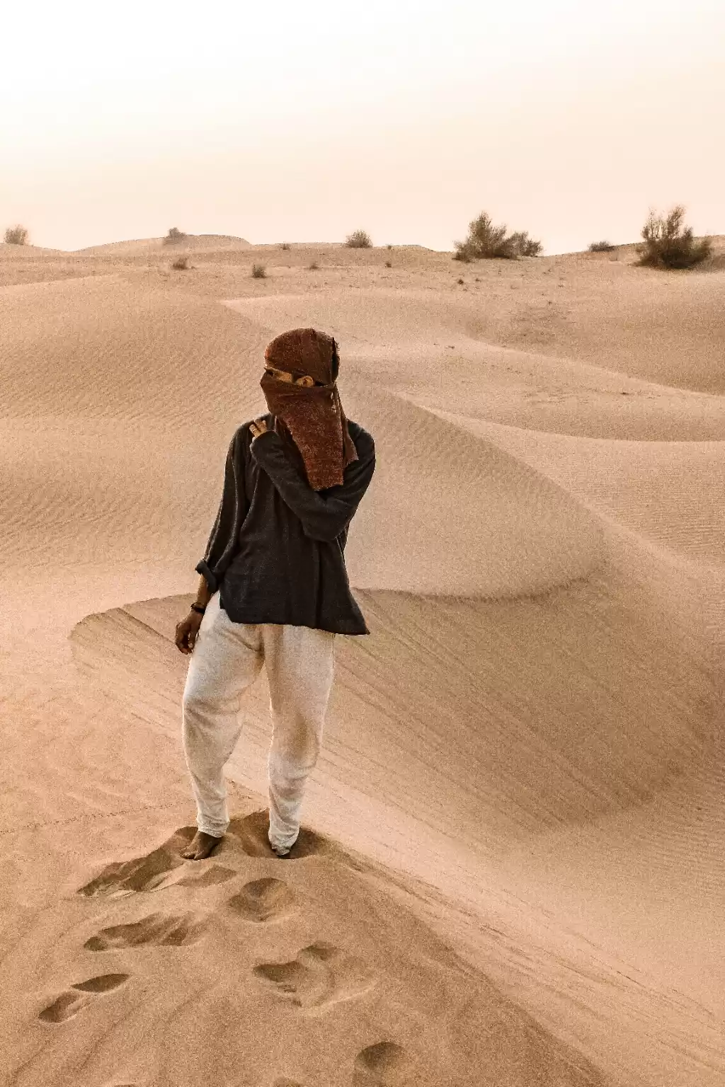 Photo of Ride to the Desert ,