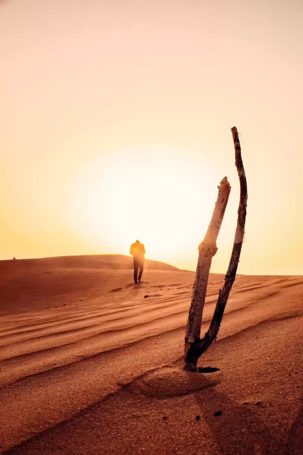 Photo of Take me back the the