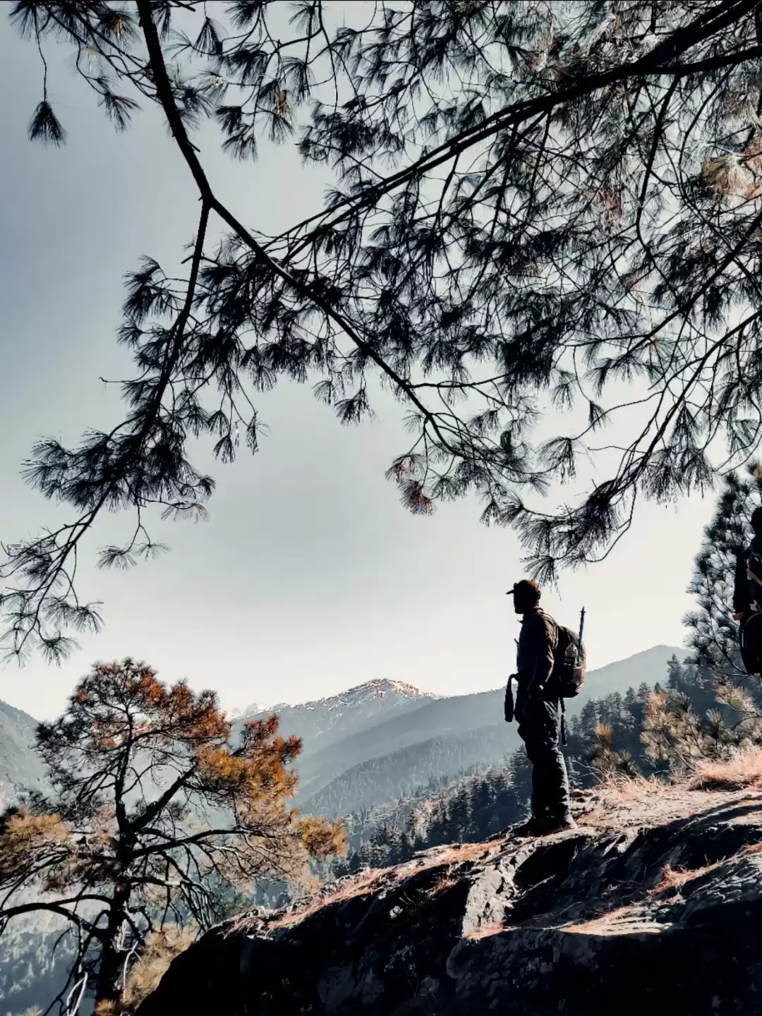 Photo of Nature is all we nee