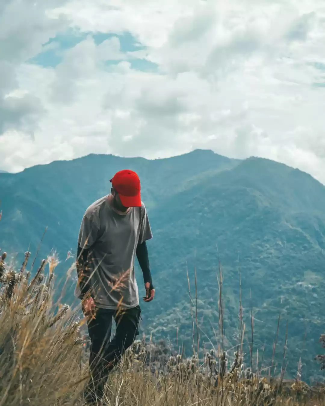 Photo of Because these mounta