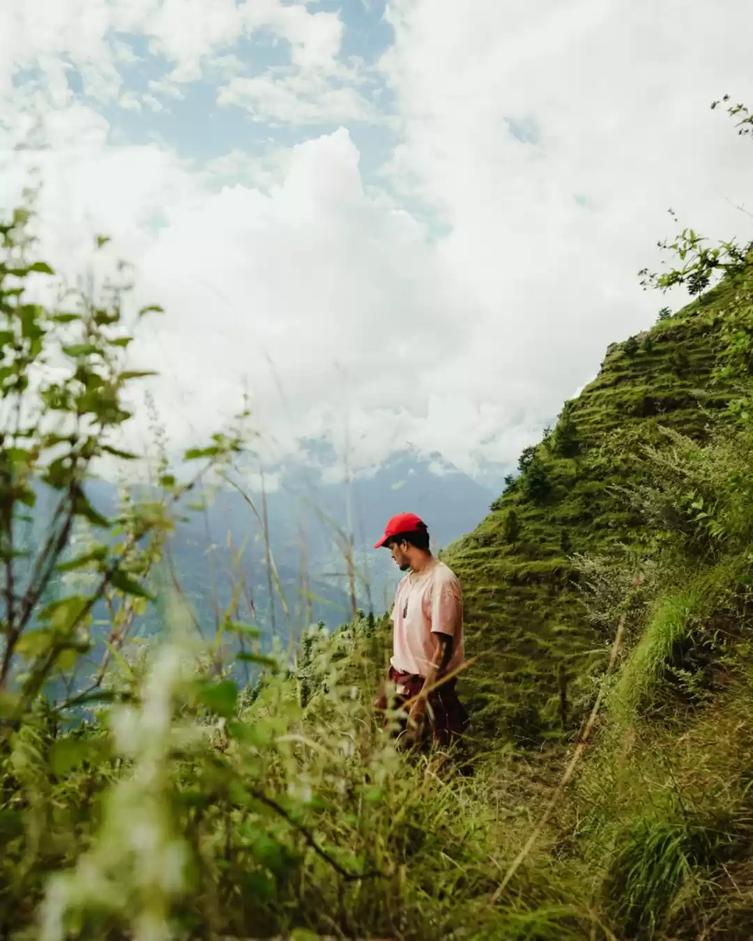 Photo of From the trails I fo