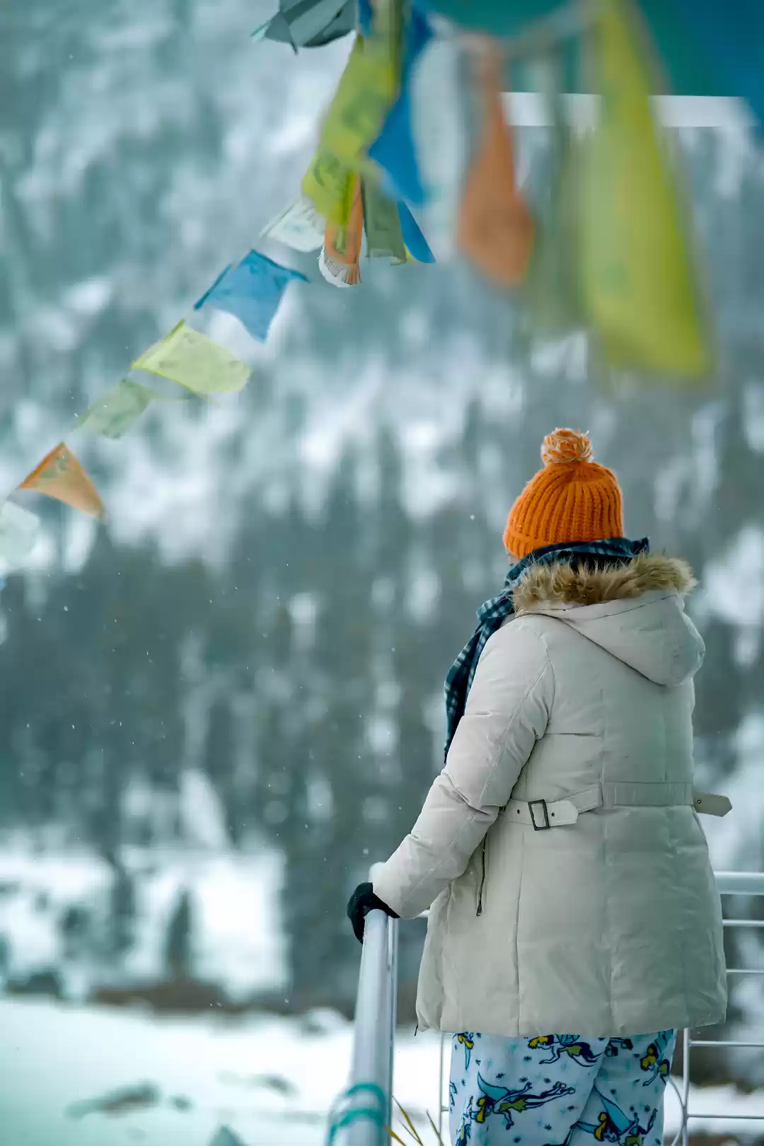 Photo of Winter Life of Chitk