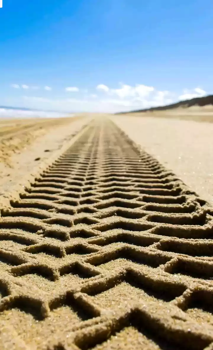 Photo of A terrific road jour