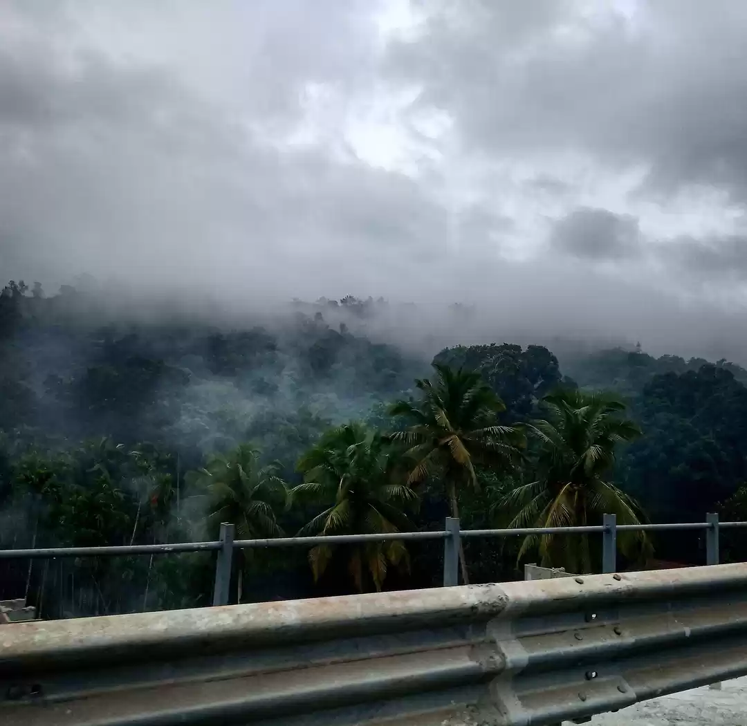 Photo of Mesmerizing Monsoon 