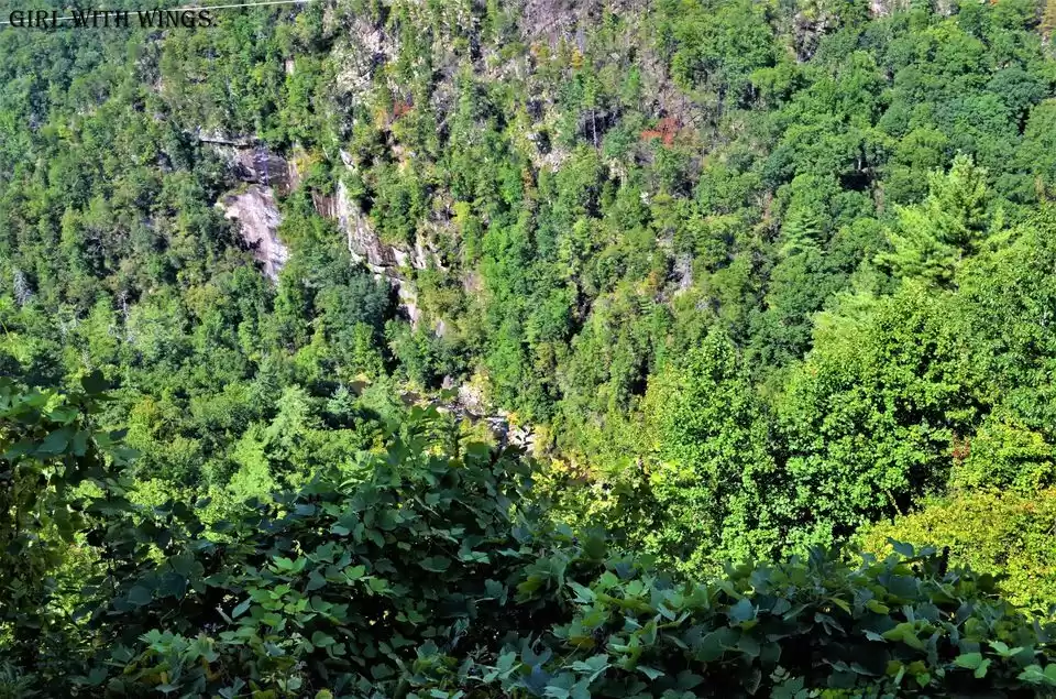 Photo of Incredible Nature Fa