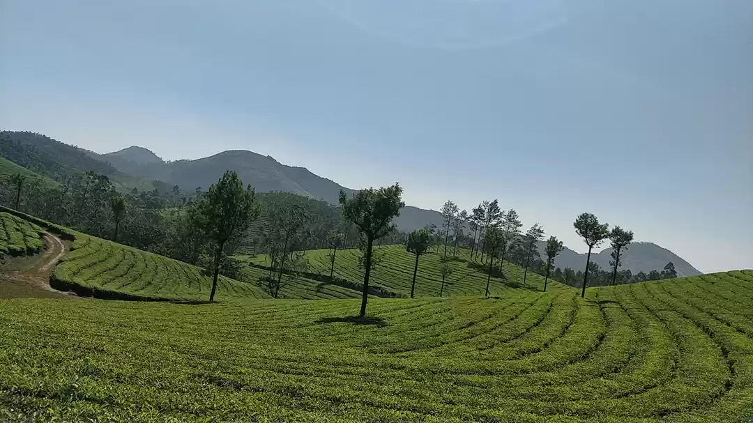 Photo of TOP 5 PLACES TO VISI