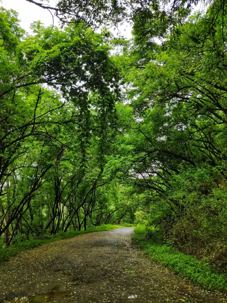 Photo of Day trip to Panshet,