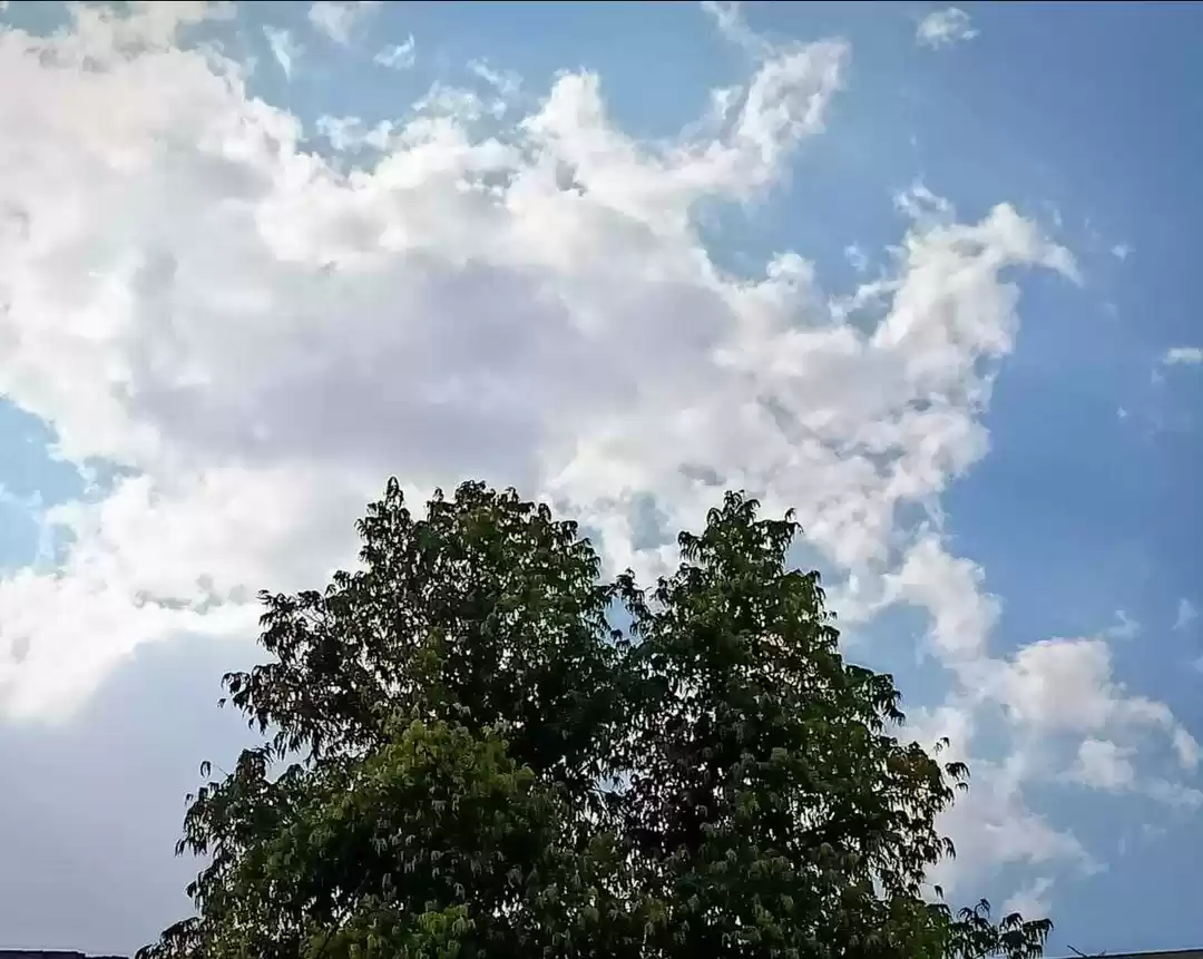 Photo of Feel close to the Al