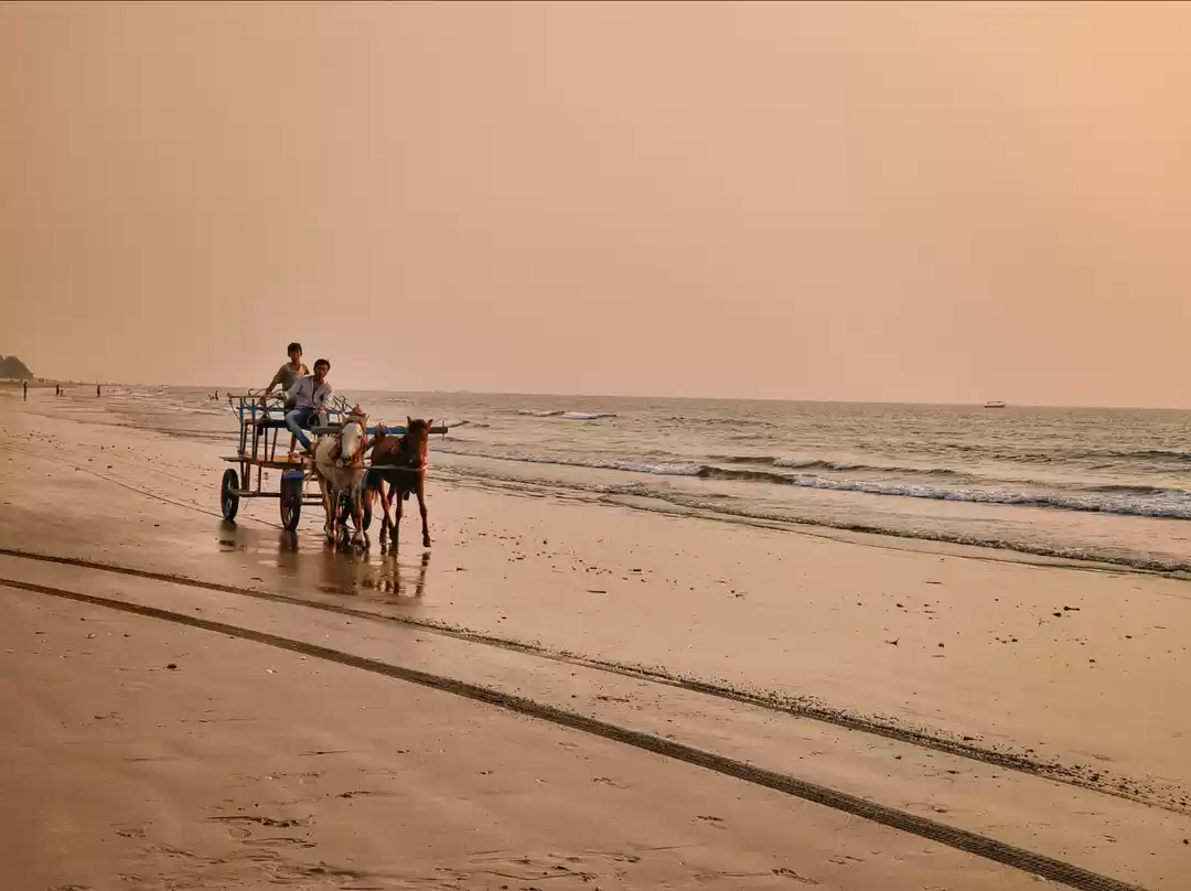 Photo of Tarkarli Beach