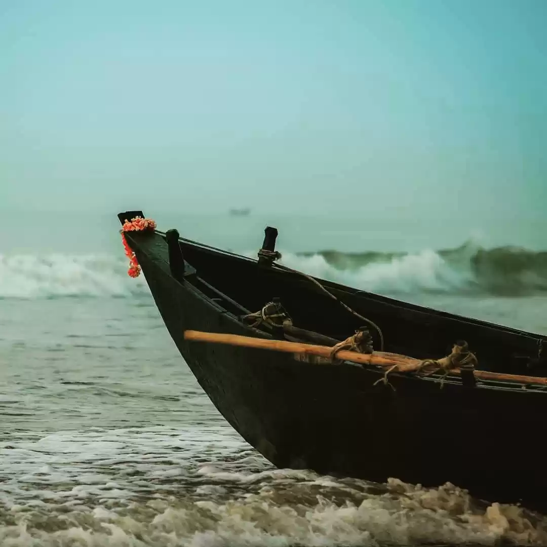 Photo of One day trip digha b