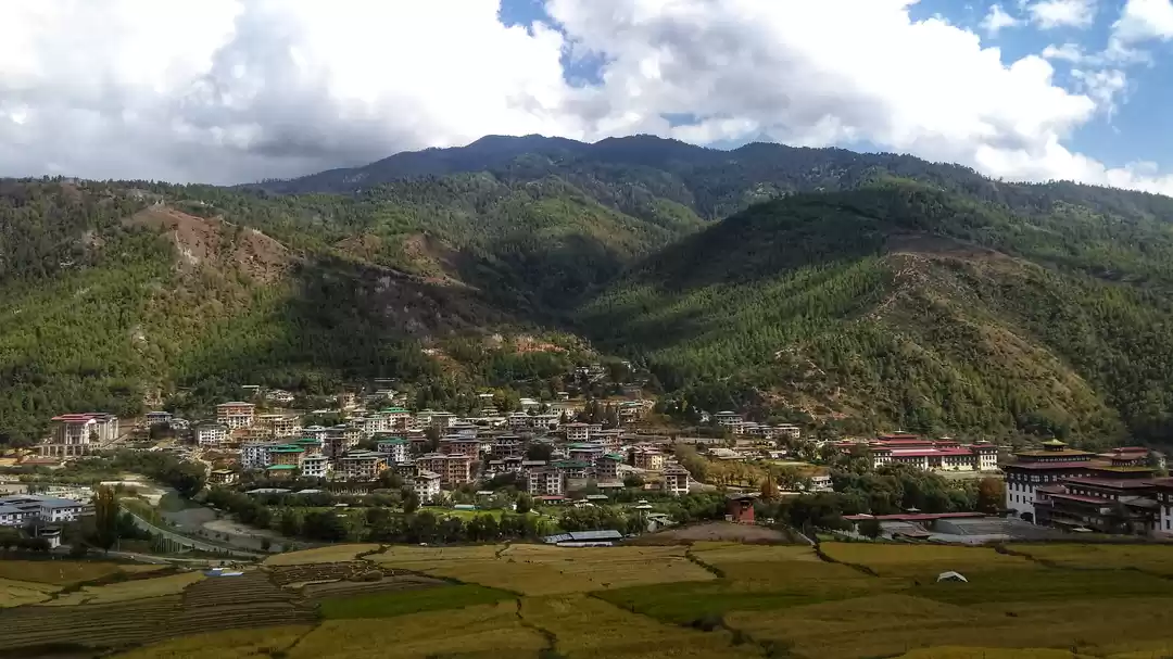 Photo of How an unexpected tr