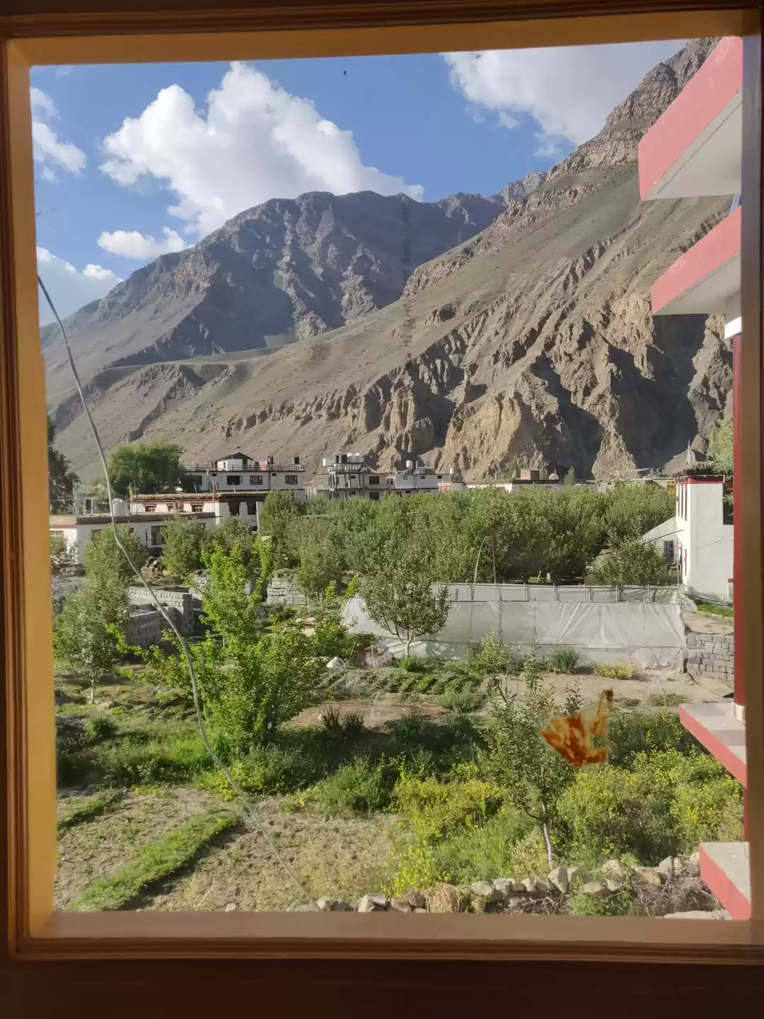 Photo of 6 Very Budget Option