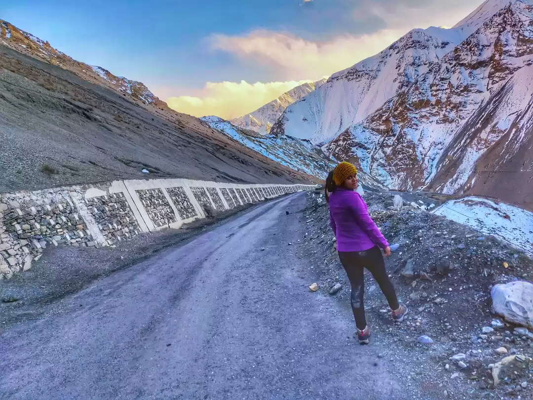 Photo of White winter wonderl