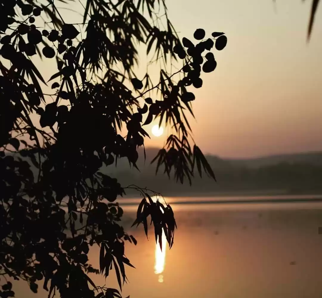 Photo of Make your mornings g