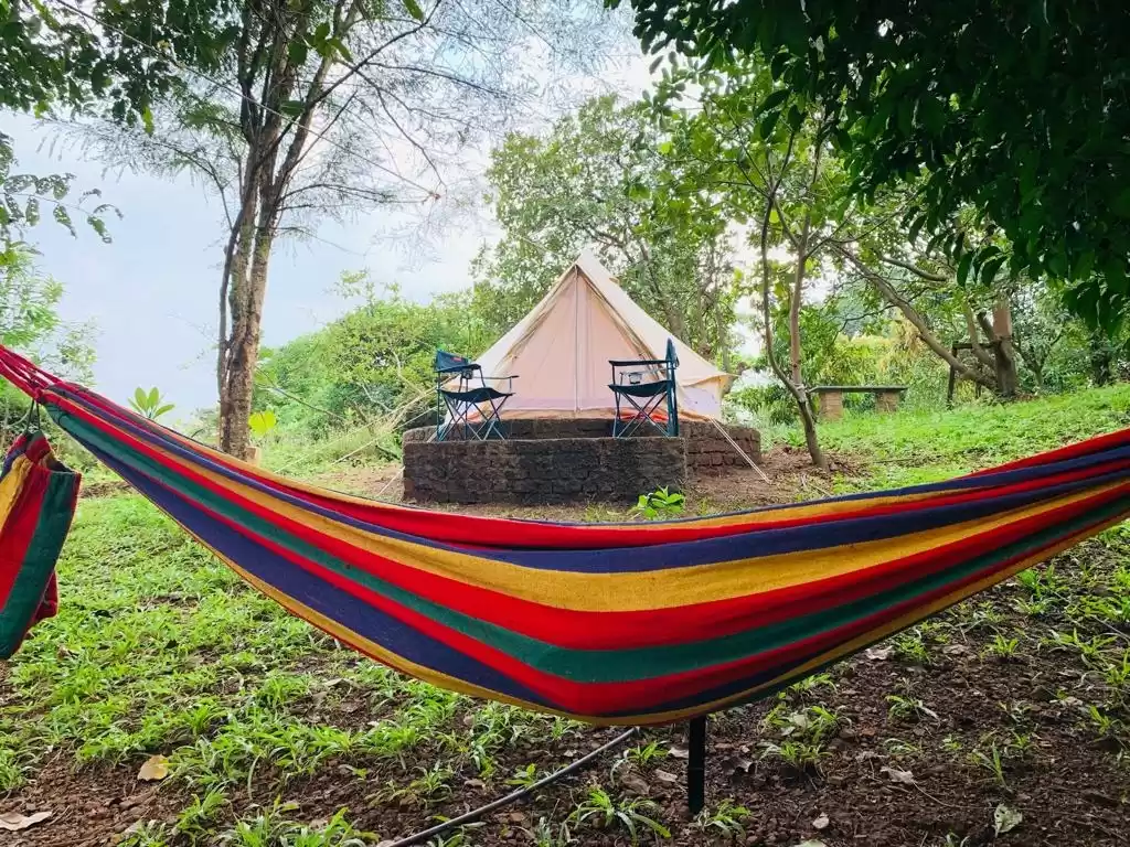 Photo of WHY RESORT TO RESORT