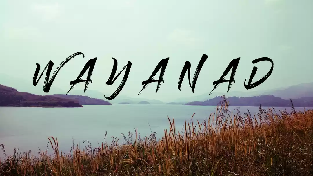 Photo of WAYANAD, Kerala: Hil