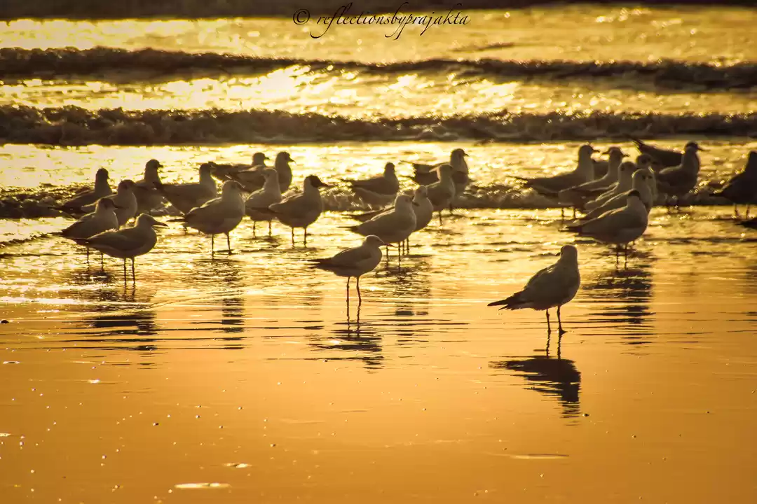 Photo of Beautiful and Exotic