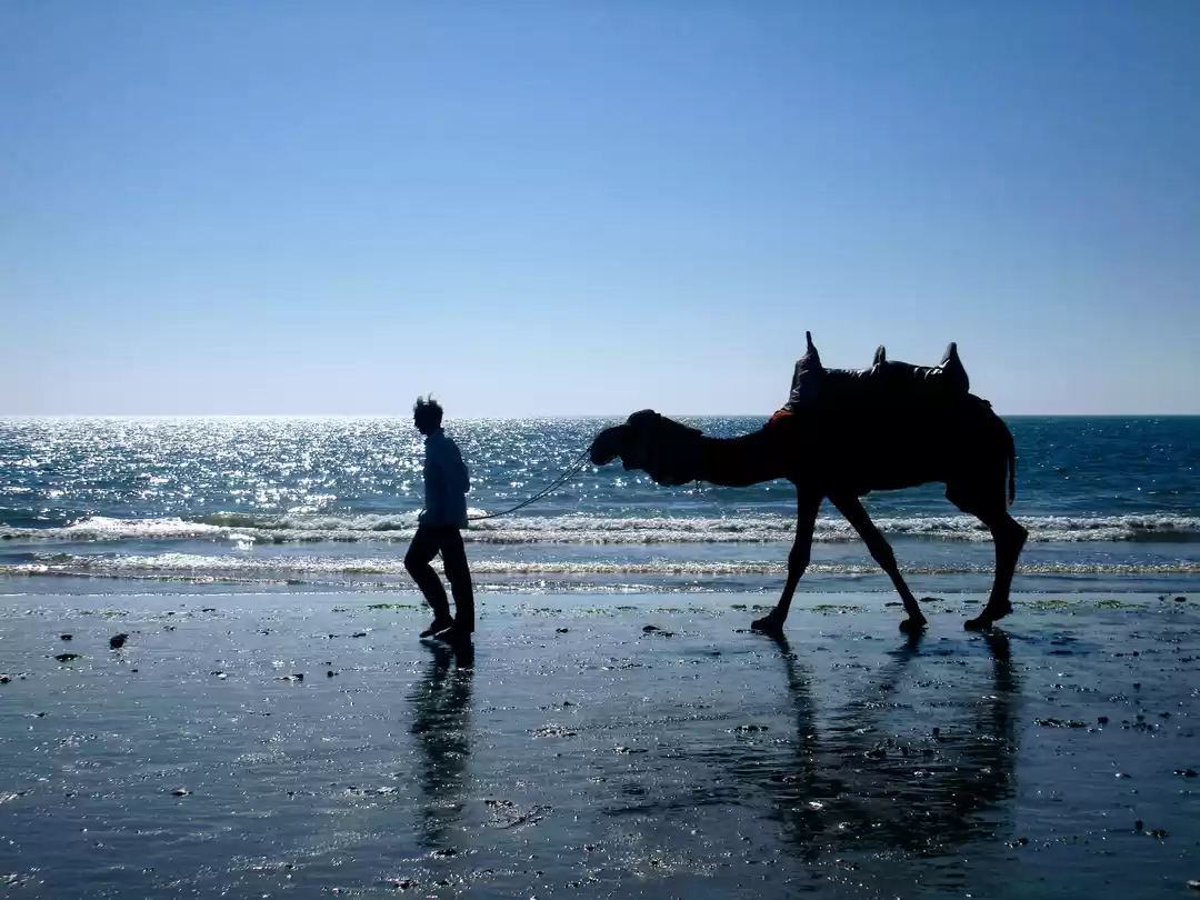 Photo of My First Solo Trip T