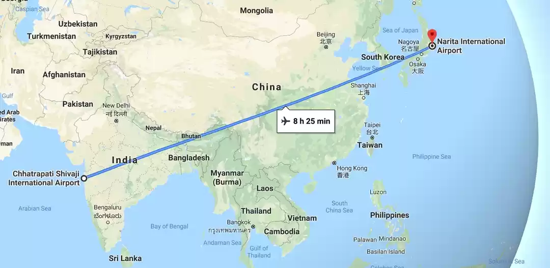 Photo of Japan Journal - Firs