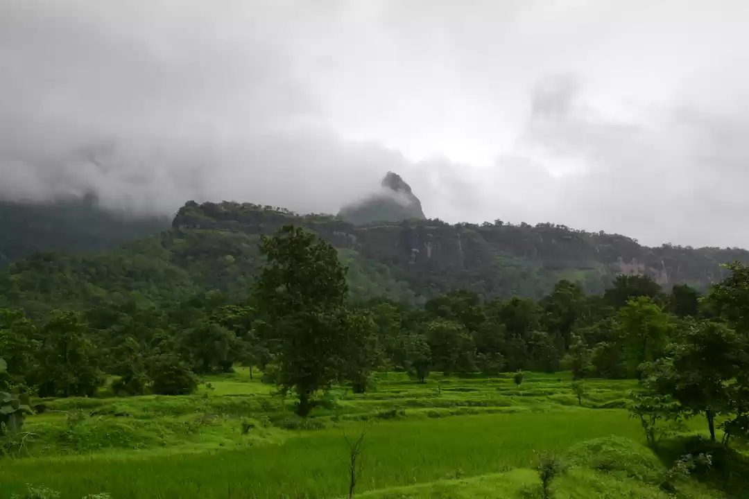 Photo of Trek to Bhimshankar 