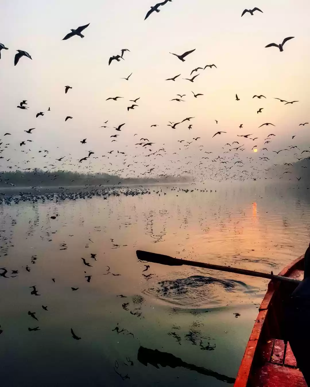 Photo of Yamuna River, Delhi