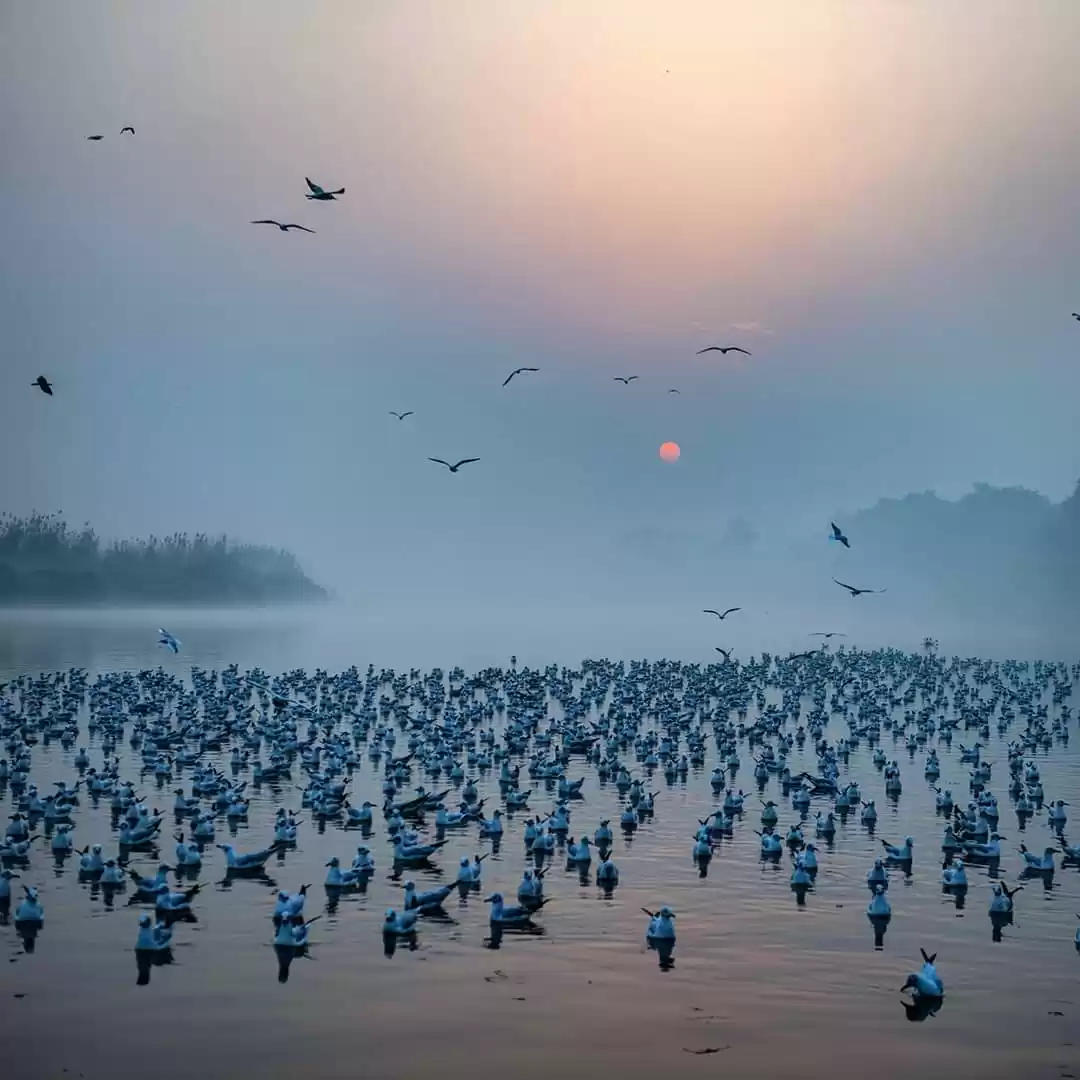 Photo of Yamuna River, Delhi