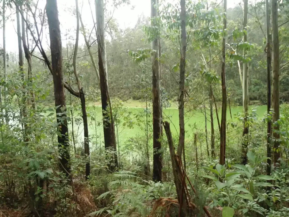 Photo of Miracles await out o