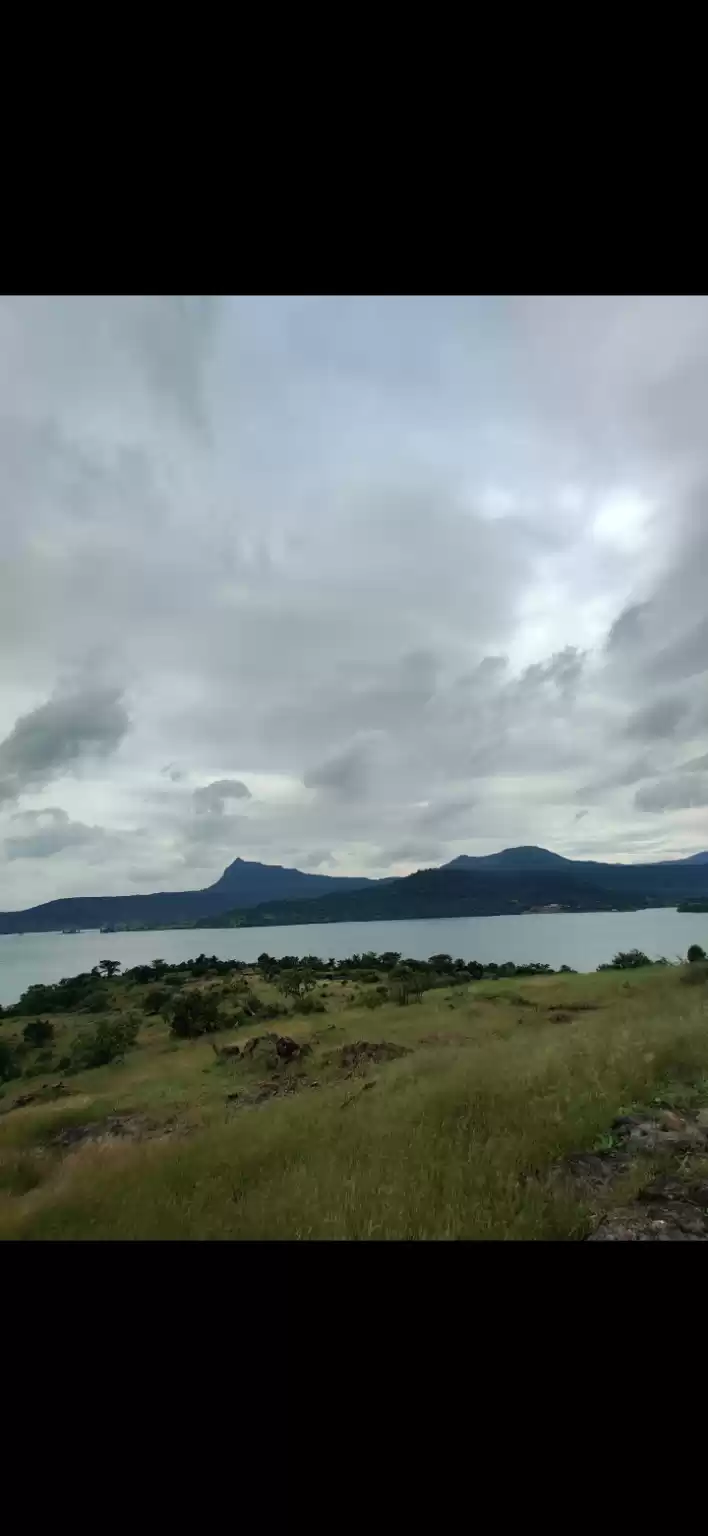 Photo of You Can't Call Yours