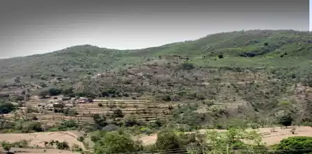 Photo of Kasauli - Rejuvinati