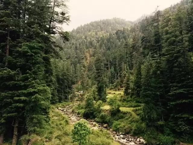 Photo of Jibhi – A Refreshing