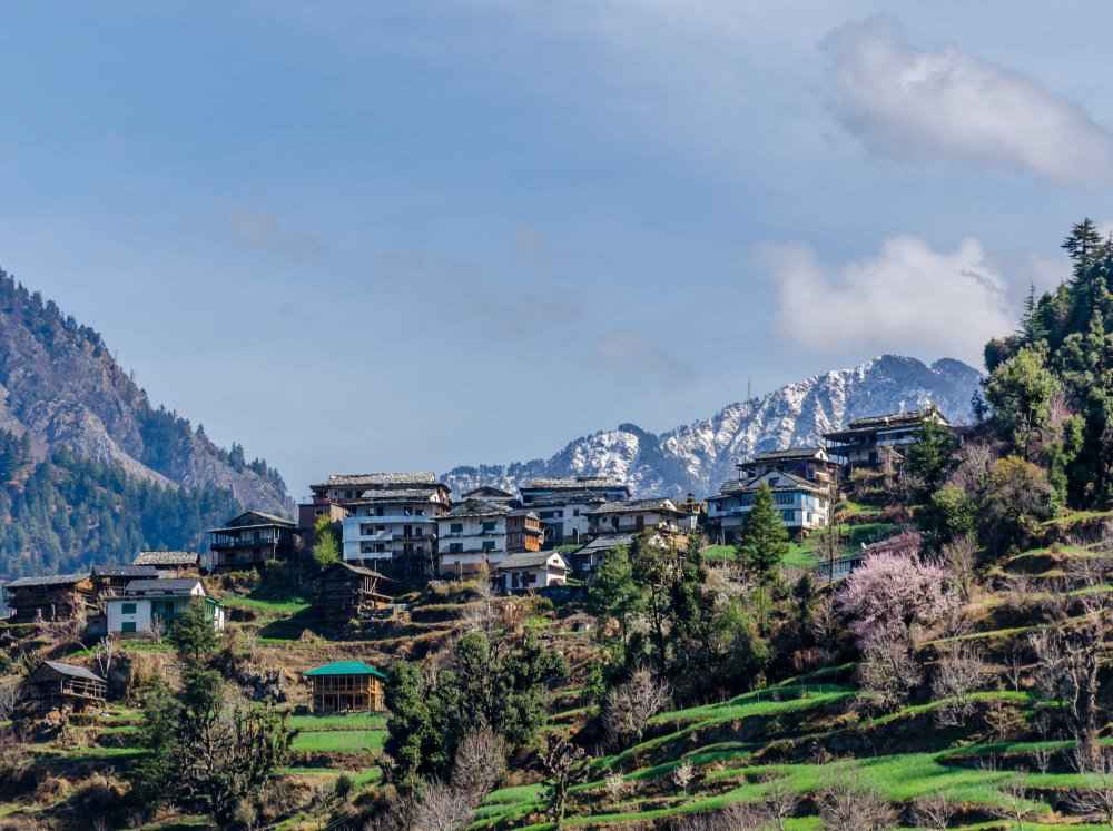jibhi trekking packages