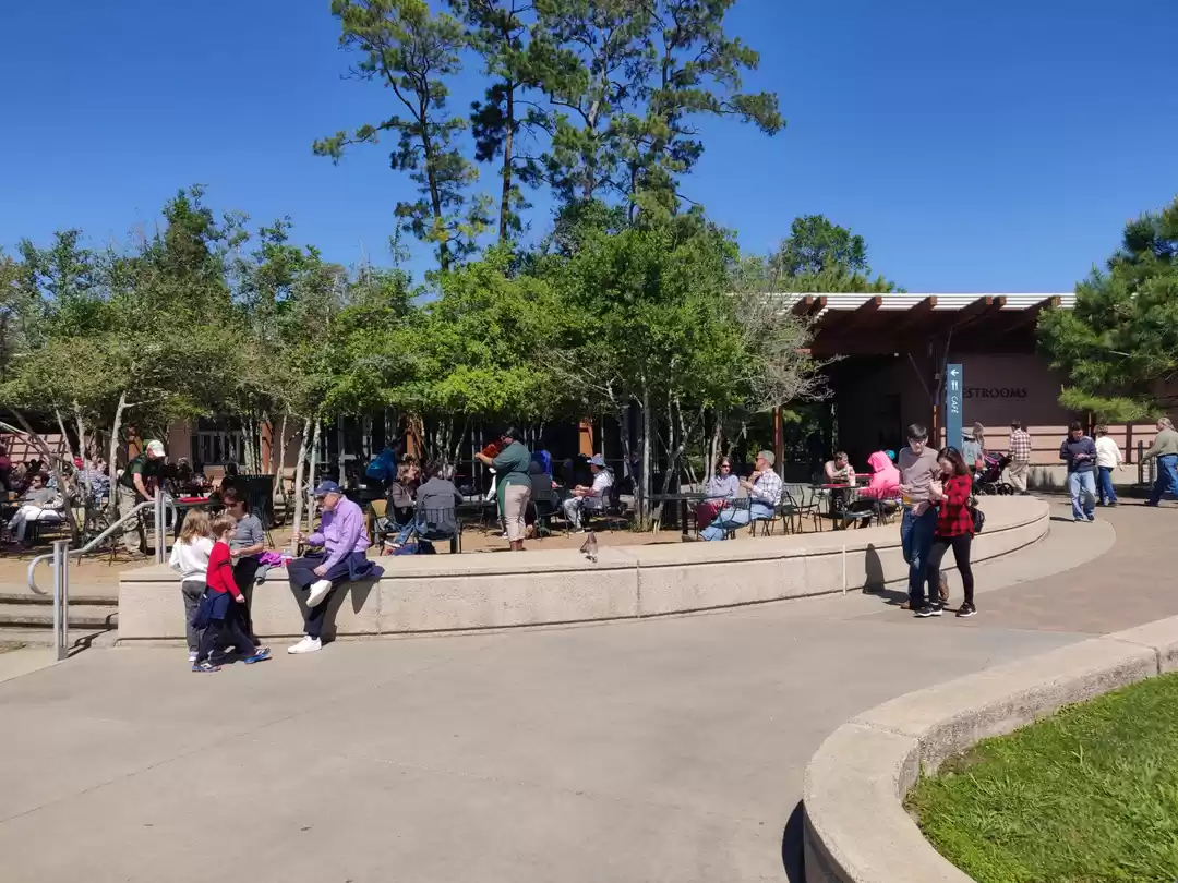 Photo of A day trip to Housto